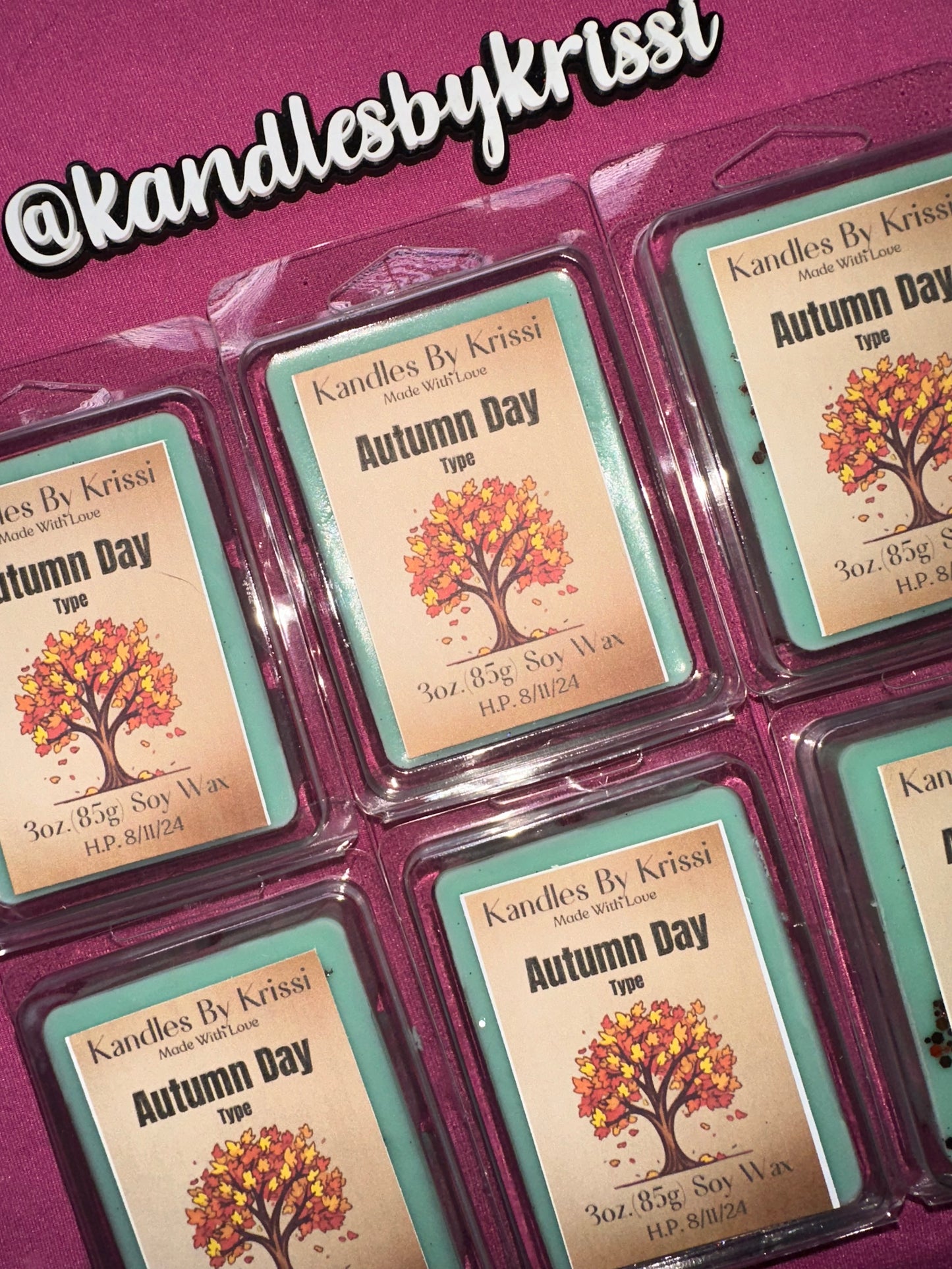 2024 Fall Collection Soy Wax Melts