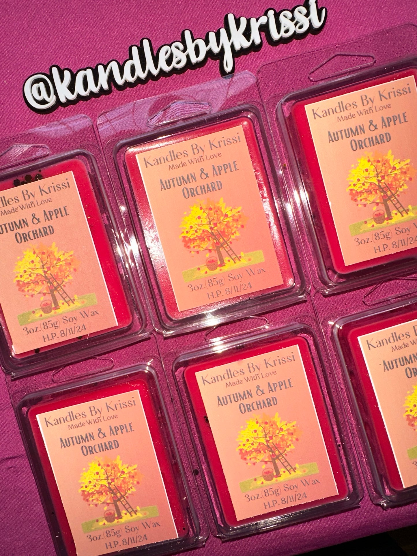 2024 Fall Collection Soy Wax Melts